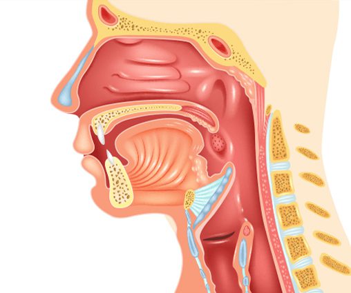 Head & Neck Cancer center in vizag